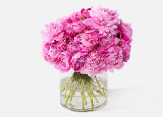 Triple The Peony image number 0